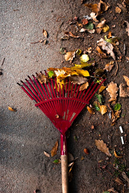 A red plastic garden rake with a wooden handle lying on a paved surface next to a patch of soil covered with fallen leaves, twigs, and organic debris. The rake's tines are spread out and some leaves and small plant material are caught within them. The surrounding environment appears to be an outdoor area, possibly a garden or driveway, with natural lighting highlighting the textures of the soil, leaves, and pavement. The scene suggests clearing or tidying up outdoor waste as part of garden maintenance, aligning with rubbish removal services offered by companies like Rubbish Removal Harrow, which handle private waste and garden waste collection.